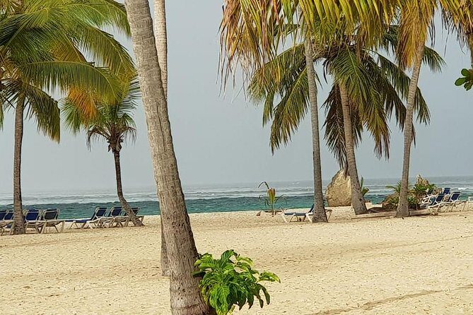 Samana - Key Levantado - Limon Waterfall - Horseback Riding - A Detailed Look at the Tour Experience