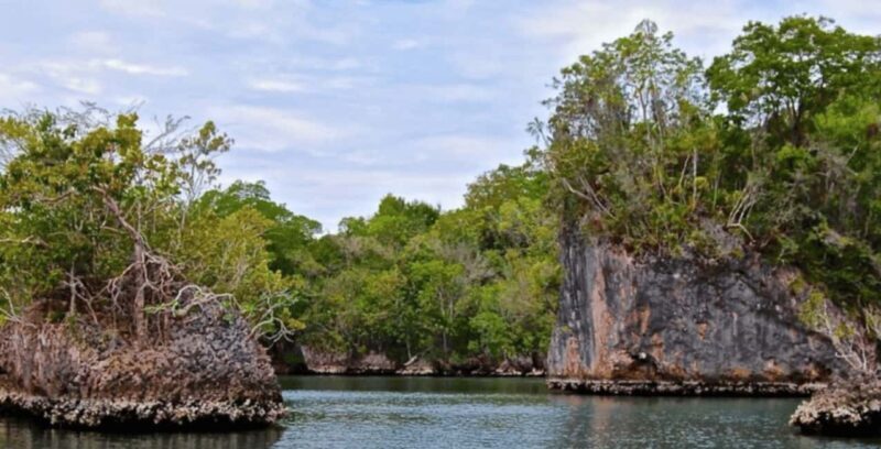 Samana: Los Haitises, Caño Hondo, Kayak Tour with Lunch - Key Points