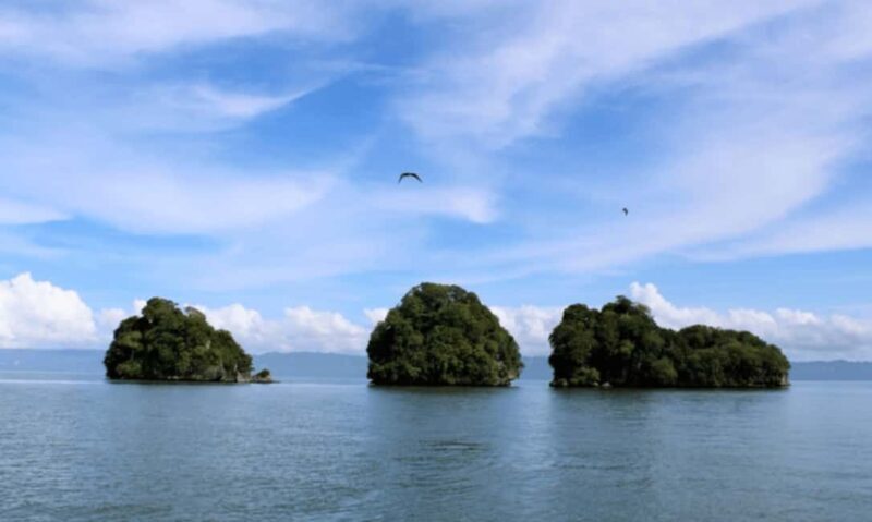 Samana: Los Haitises, Caño Hondo, Kayak Tour with Lunch - Who Will Love This Tour?