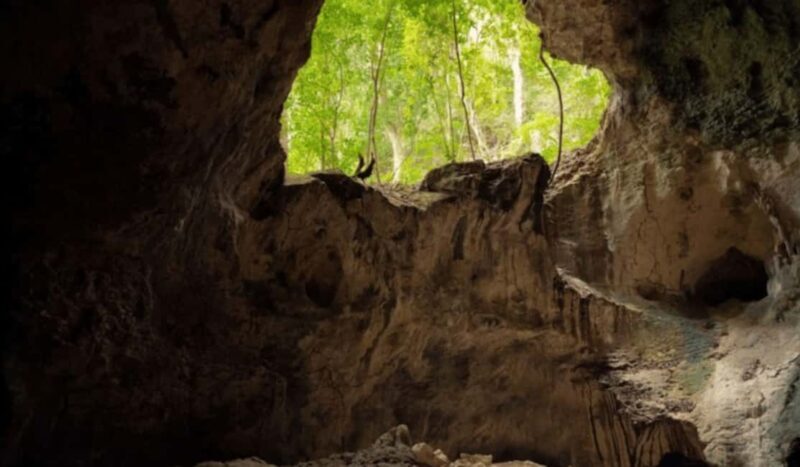 Samana: Los Haitises, Caño Hondo, Kayak Tour with Lunch - Final Thoughts