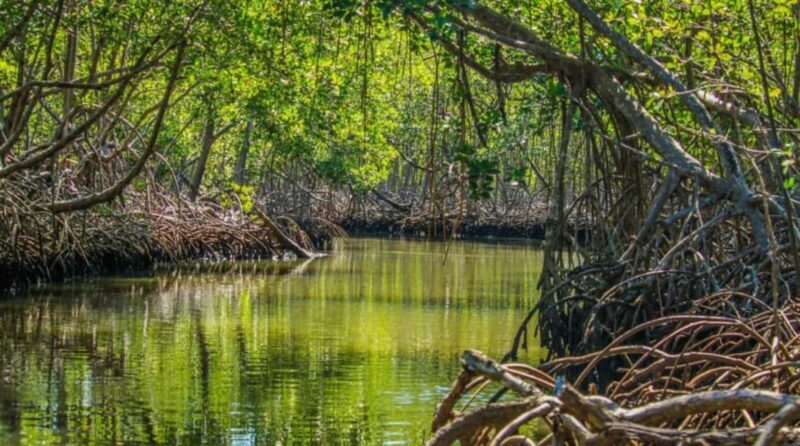 Samana: Los Haitises & Cano Hondo Overnight Tour - Key Points