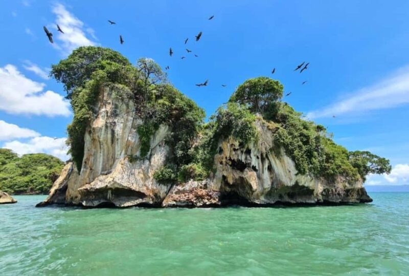 Samana: Los Haitises National Park & Caño Hondo Day Tour - Who Will Love This Tour?