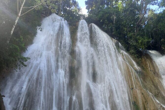 Samana Paradise Shared Tour - Exploring the Samana Paradise Shared Tour in Detail