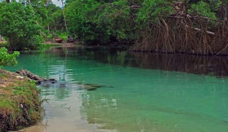 Samaná: Playa Rincón Safari Tour with Lunch & Drinks - Key Points