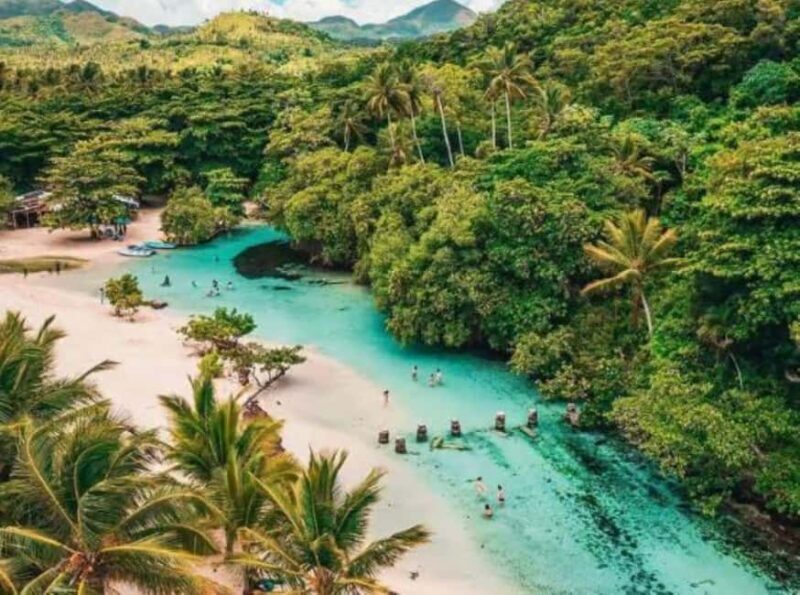 Samaná: Playa Rincón Safari Tour with Lunch & Drinks - A Deep Dive into the Samaná Safari Tour