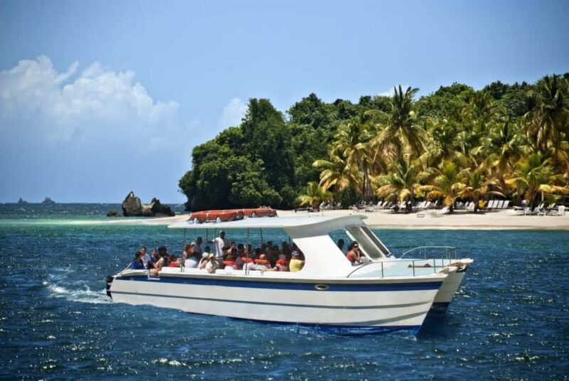 Samaná: Private Catamaran Whale Watching Tour with Drinks - Key Points