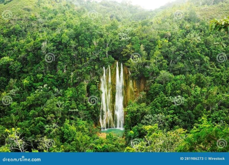 Samaná: Private Early-Morning Trek to El Limón Waterfall - A Deep Dive into the El Limón Waterfall Trek
