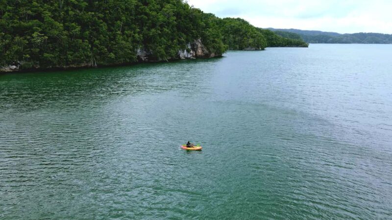 Samana: Private Los Haitises Expedition Caves & Mangroves - What Makes This Tour Special?