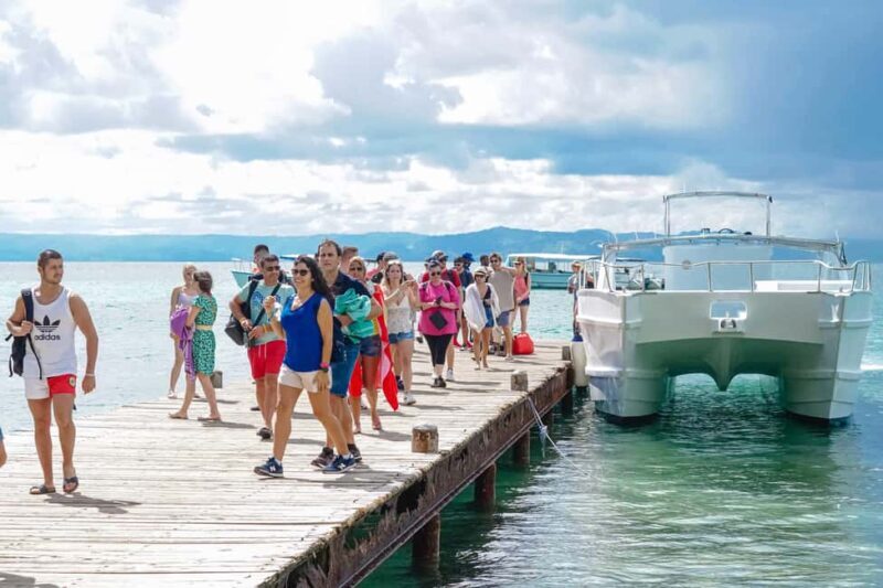 Samanà Whale Watching and Bacardi Island Tour From Bayahibe - FAQ