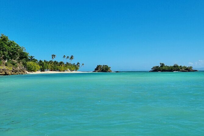 Samana Whales Watching Full Day Tour with Cayo Levantado and more - Authentic Experiences and Notable Insights