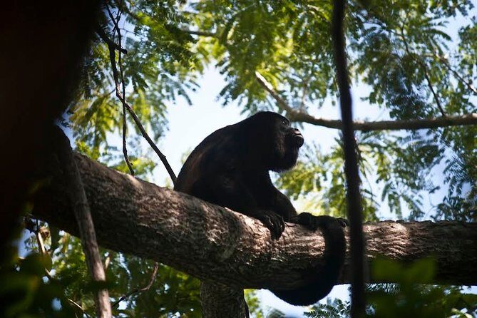 Samara Trails in Werner Sauter Biological Reserve - Key Points