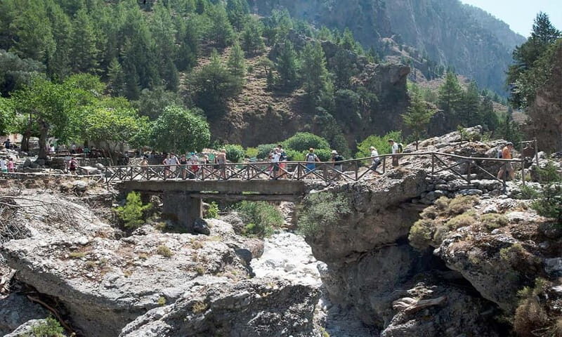 Samaria Gorge Day Trip Hiking Tour - An In-Depth Look at the Samaria Gorge Tour