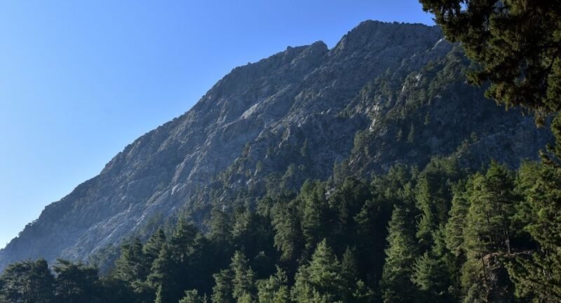 Samariá Gorge Hike: Day Excursion from Chania - Final Thoughts