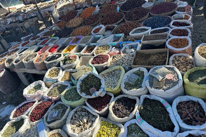 Samarkand Day Trip from Tashkent - Key Points