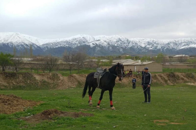 Samarkand: Uloq-Kopkari (Buzkashi) Game Day Tour - An In-Depth Look at the Uloq-Kopkari Game Day Tour