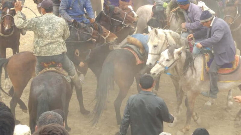 Samarkand: Uloq-Kopkari (Buzkashi) Game Day Tour - The Value of the Tour
