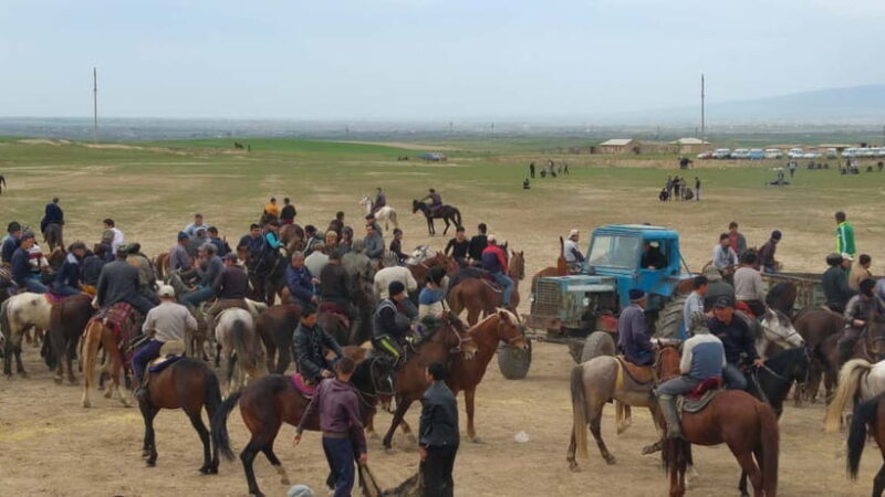 Samarkand: Uloq-Kopkari (Buzkashi) Game Day Tour - The Sum Up