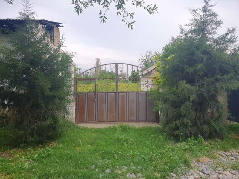 Samarkand: Village Tour with Plov Cooking Class & Home Visit - Exploring Uzbek Tradition: Samarkand Village Tour with Plov & Home Visit