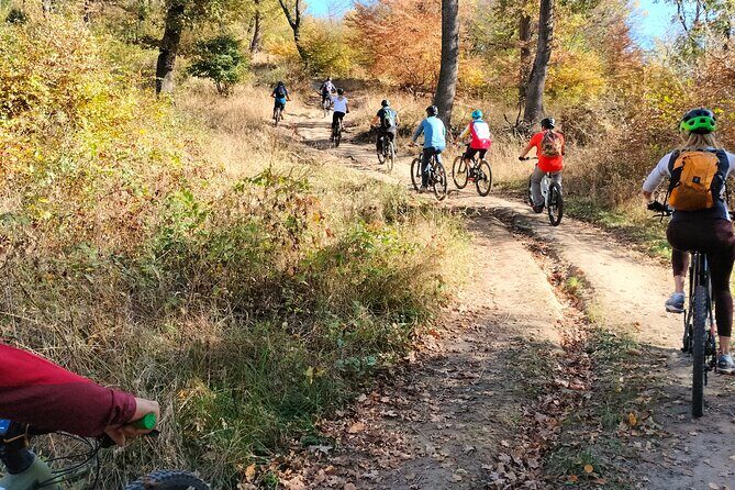 Sambata de Sus: E-Bike Guided Tours - Discover the Beauty of Sambata de Sus with E-Bike Guided Tours