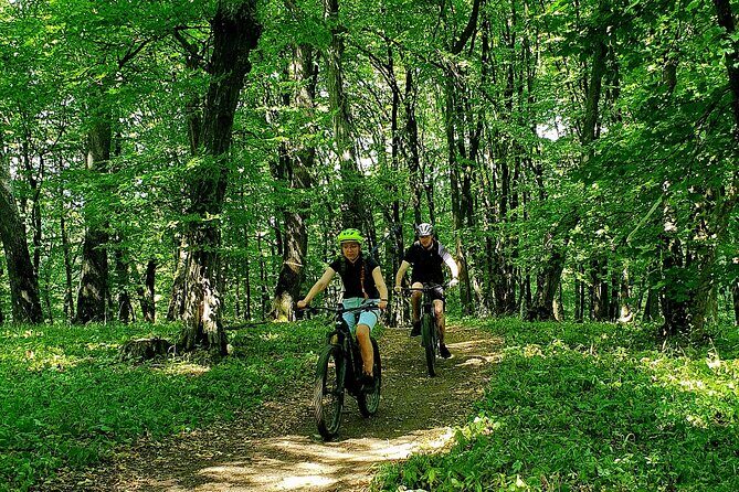 Sambata de Sus: E-Bike Guided Tours - An In-Depth Look at the E-Bike Guided Tour in Sambata de Sus