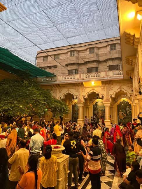 Same Day Mathura Vrindavan Tour from Delhi - The Practicalities and Value