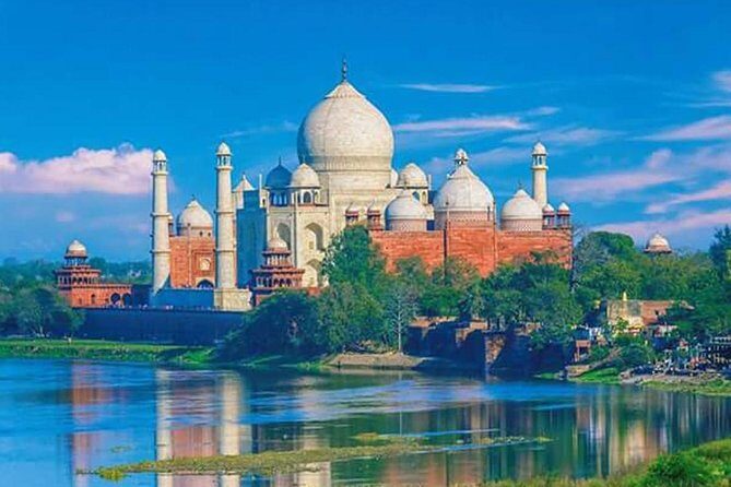 Same Day Tajmahal at Sunrise and SOS wildlife sanctuary tour - Exploring the Day in Detail