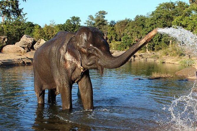 Same Day Tajmahal at Sunrise and SOS wildlife sanctuary tour - Final Thoughts