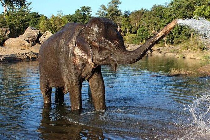 Same day Tajmahal tour with SOS Elephant/Bear wildlife Sanctuary - FAQs