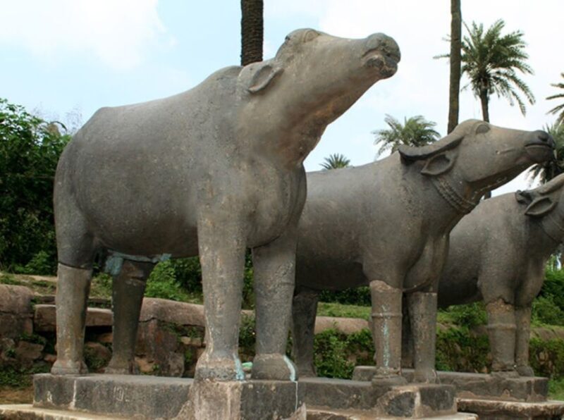 Same Day Tour Of Mount Abu From Udaipur - Final Thoughts: Is It Worth It?