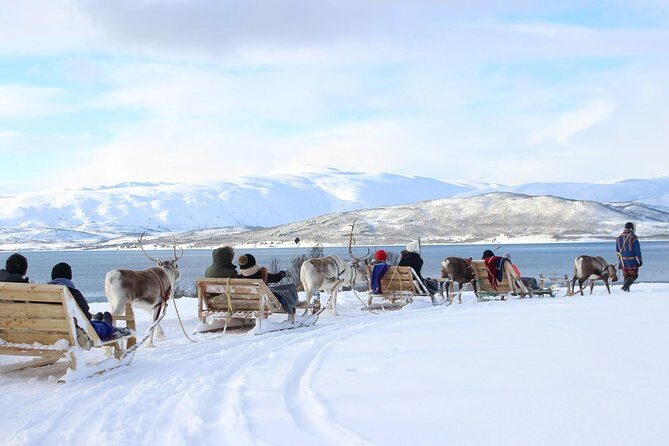 Sami Culture and Short Reindeer Sledding from Tromso - Discover Authentic Sami Culture and Reindeer Sledding Near Tromso