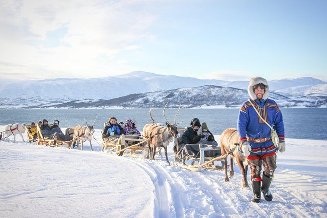 Sami Culture and Short Reindeer Sledding from Tromso - Key Points