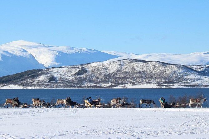Sami Culture and Short Reindeer Sledding from Tromso - FAQ