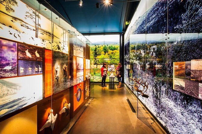 Sámi Village Inari and Siida Museum by Car - Discovering Sami Life and Arctic Heritage: A Day at Sámi Village Inari and Siida Museum