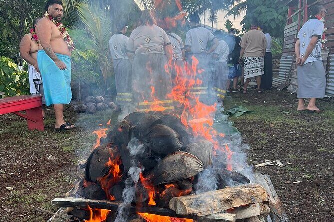Samoa in a Day: Customizable Tour of Beaches, Waterfalls, Culture - Who Should Book This Tour?
