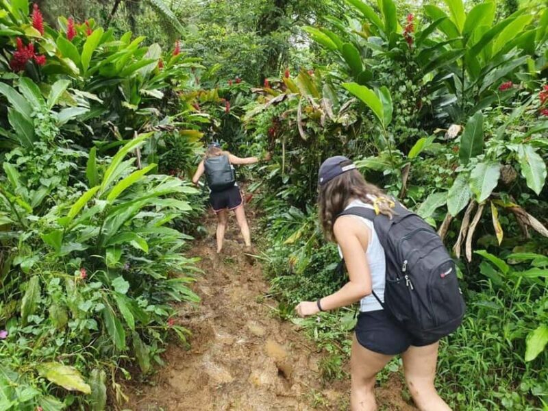 Samoa: Lake Lanoto'o Volcanic Crater Lake Hike & Swim - Key Points