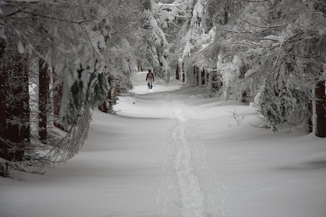 Samobor and NP Zumberak Private Winter Hike from Zagreb - A Detailed Look at the Tour Experience