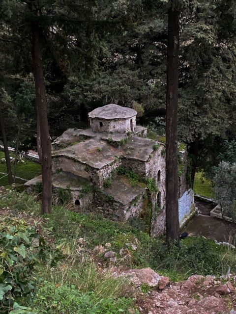 Samos: Full-Day Private Sightseeing Tour - Transport and Comfort: What You Need to Know