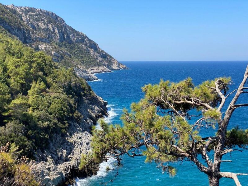 Samos: Full-Day Private Sightseeing Tour - Pricing and Value