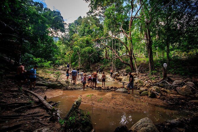 Samui ATV Quad Bike 1 Hour Tour - Who Would Love This Tour?