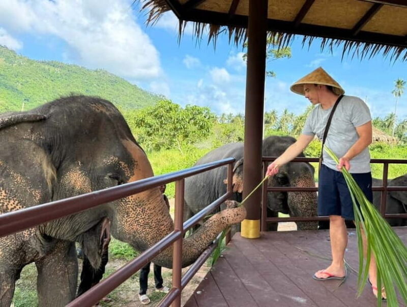 Samui: Elephant Home Sanctuary and the first elephant museum - Final Thoughts