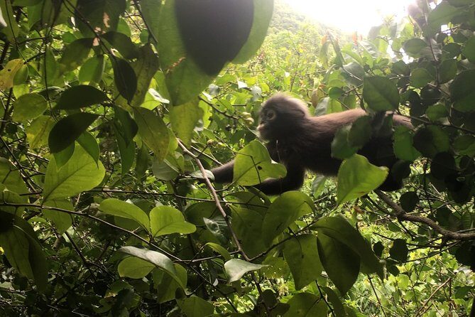 Samui Island Tour to Angthong National Marine Park by Big Boat - Final Thoughts: Is It Worth It?