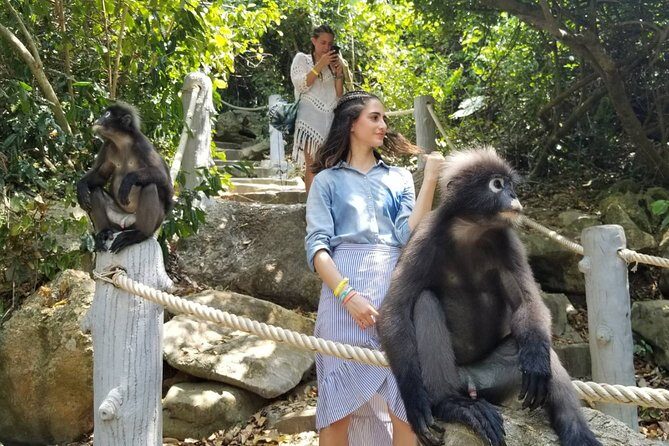 Samui Island Tour to Angthong National Marine Park by Big Boat - FAQs