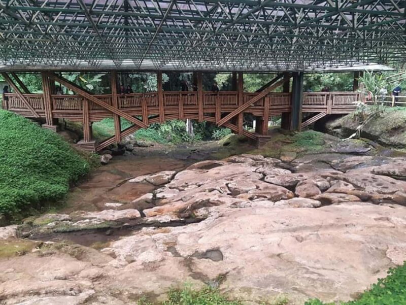 San Agustín: Excursion to the Archaeological Park - Historical Patrimony - Final Thoughts