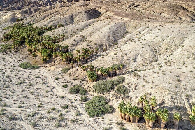 San Andreas Fault Jeep Tour from Palm Desert - Experience the San Andreas Fault on a Jeep Adventure from Palm Desert