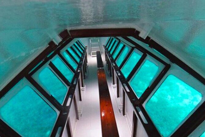 San Andreas Private Underwater Tour with Glass Bottom - San Andreas Private Underwater Tour with Glass Bottom: An Authentic Marine Experience