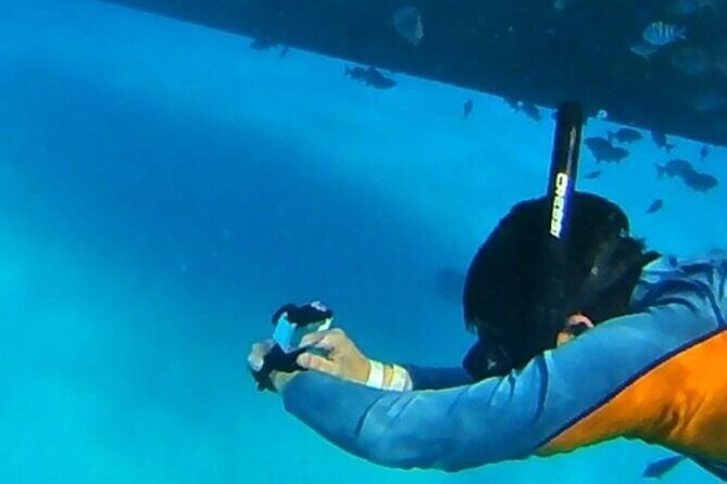 San Andreas Private Underwater Tour with Glass Bottom - Key Points