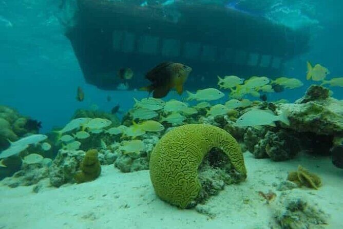 San Andreas Private Underwater Tour with Glass Bottom - FAQ