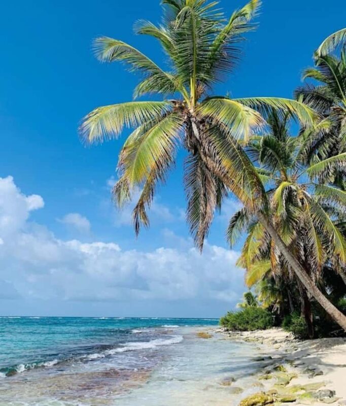 SAN ANDRES: BOAT TRANSFER + JOHNNY CAY + JOHNNY CAY - An In-Depth Look at the Tour Experience