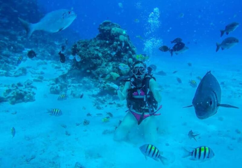 SAN ANDRES: MINI DIVING COURSE - Who Should Consider This Experience?