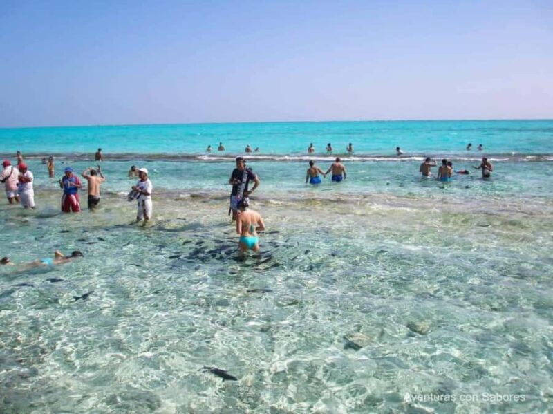 San Andres: Natural Aquarium Tour - FAQ